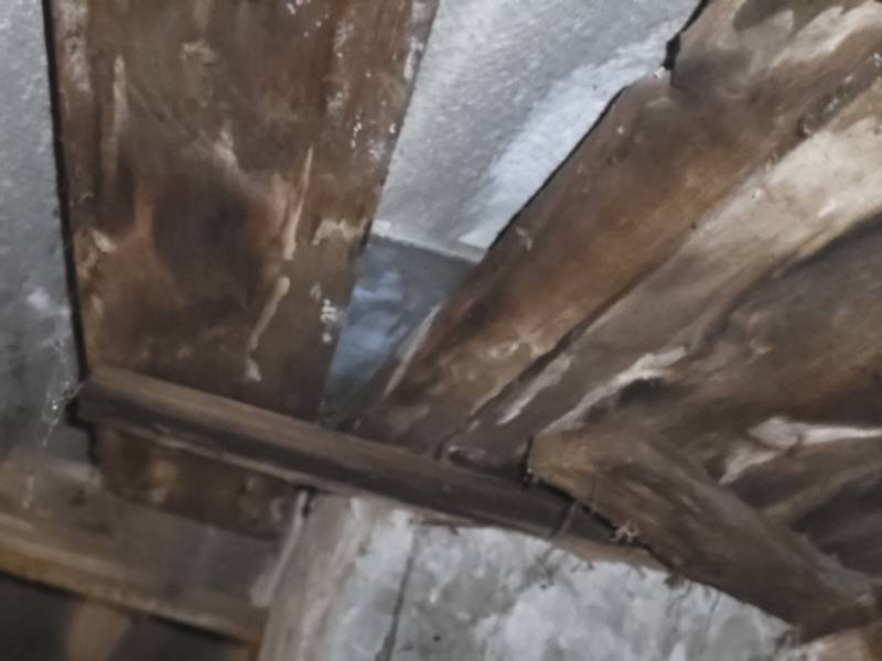 Traiter une charpente à Creutzwald