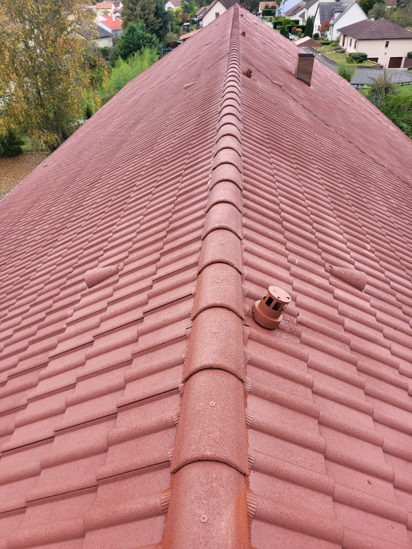 comment ce débarrasser des mousses sur votre toiture 
